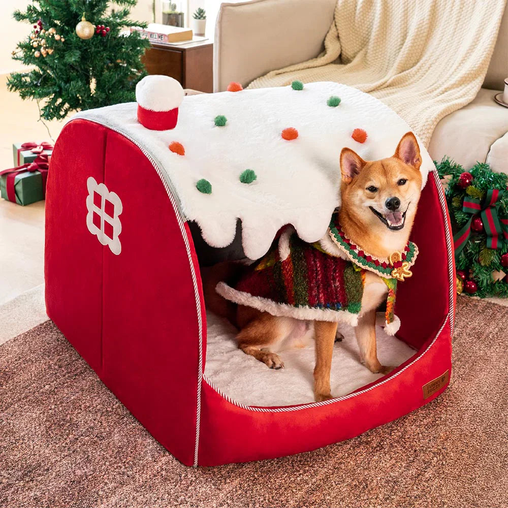 Top Holiday Gifts Your Pets Will Love This Season: A Complete Guide for Dog & Cat Parents